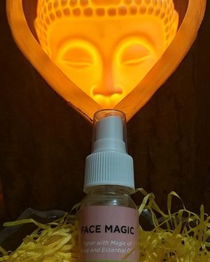 Face Magic mini Triaanyas health Mantra, Purnima bahuguna, Top Organic product company in India, Handmade Product