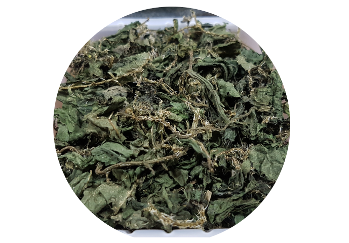 Nettle leaf, Stinging nettle, Triaanyas, Purnima bahuguna, Top Organic product company in India, organic product