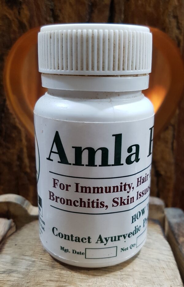Amla Powder Triaanyas health Mantra, Purnima bahuguna, Top Organic product company in India Uttarakhand